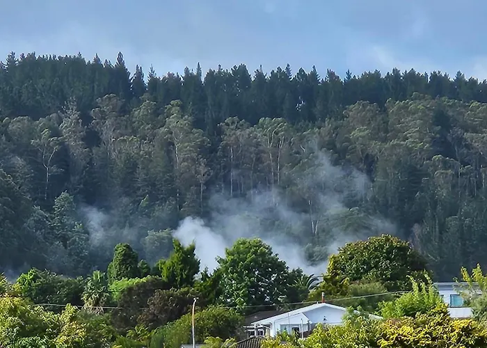 Redwood * Rotorua